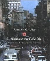 Il Cromosoma Calcutta